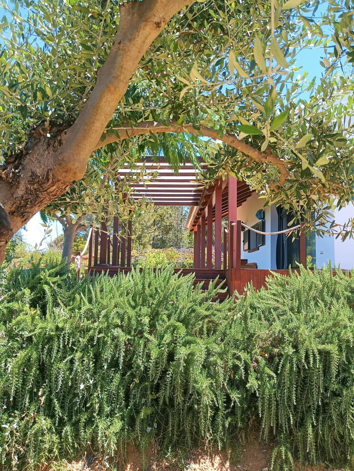 Finca Mis Morenas Palos de la Frontera Exteriör bild